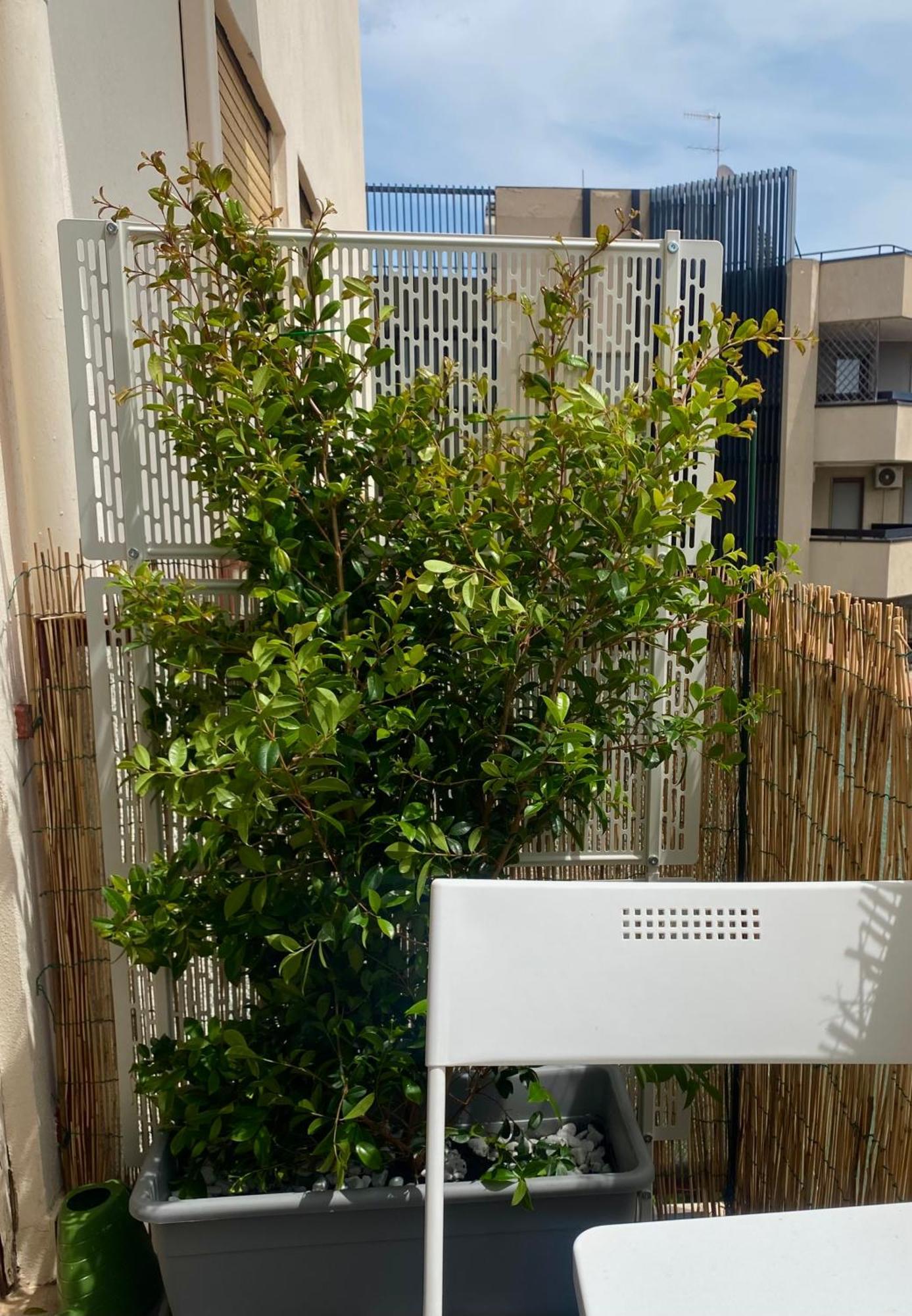 Via Roma a un passo dalle università! Sassari Exterior foto